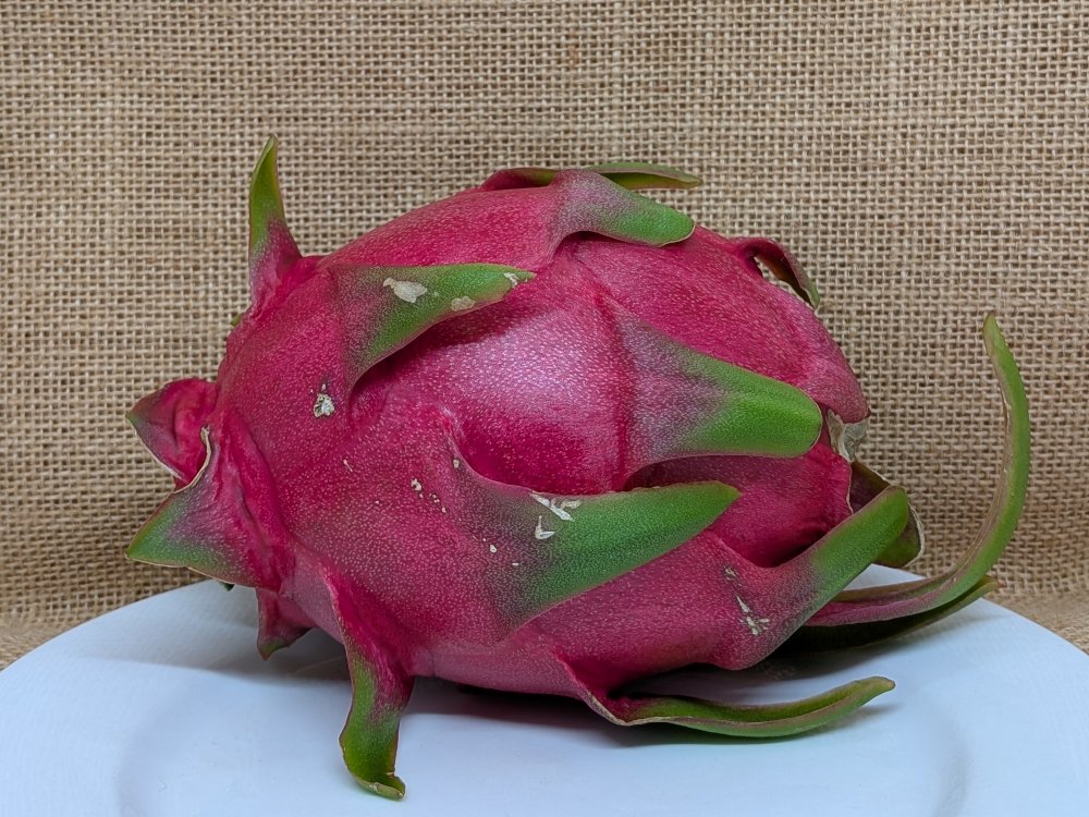 Blush dragon fruit whole
